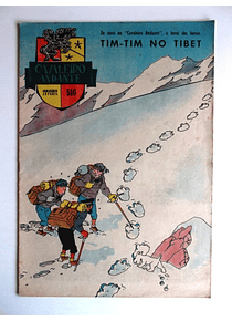 Cavaleiro Andante 516