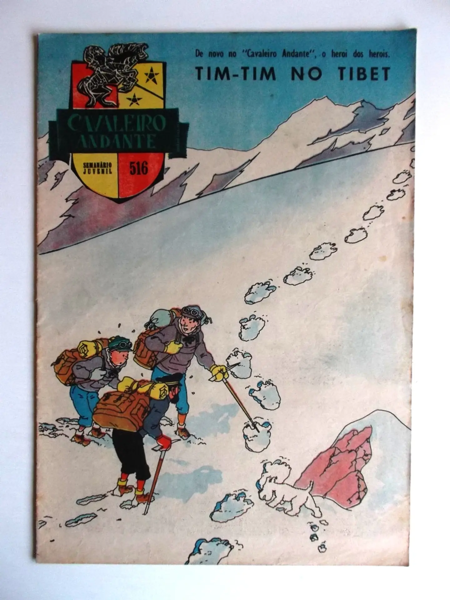 Cavaleiro Andante 516 1