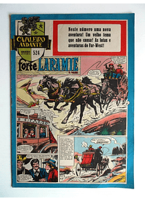 Cavaleiro Andante 524