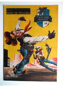 Cavaleiro Andante 529