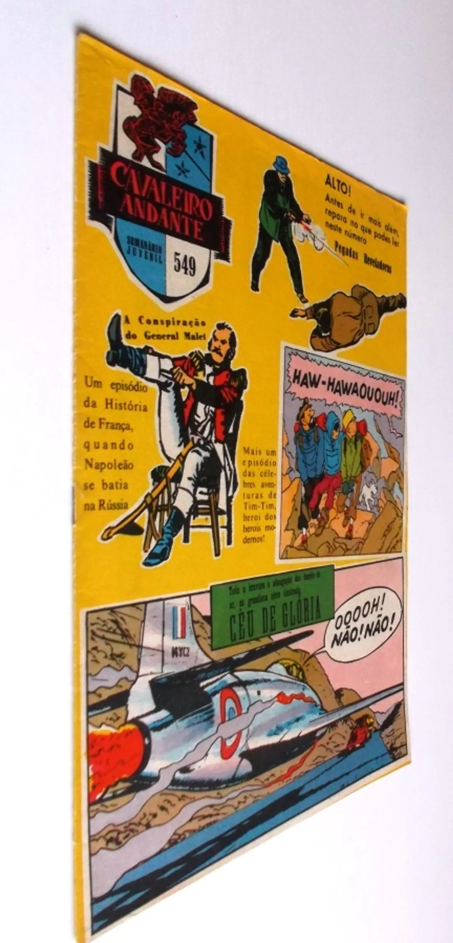 Cavaleiro Andante 549 2