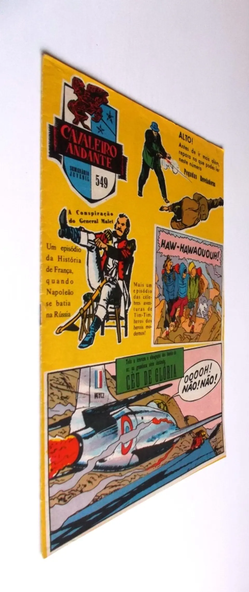 Cavaleiro Andante 549 2