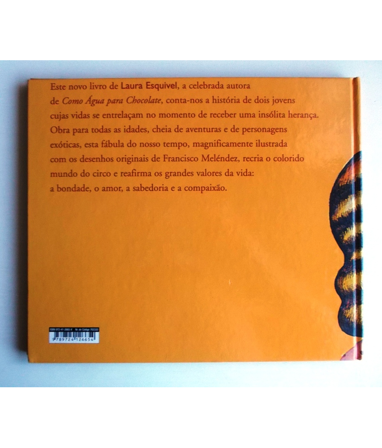 A Pequena Estrela do Mar - Laura Esquivel