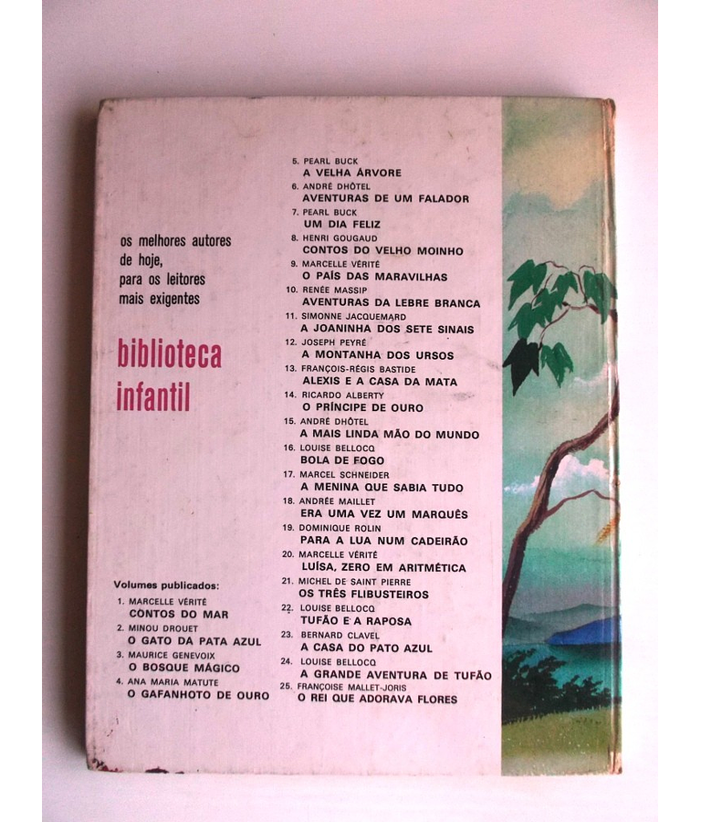 Biblioteca Infantil 07