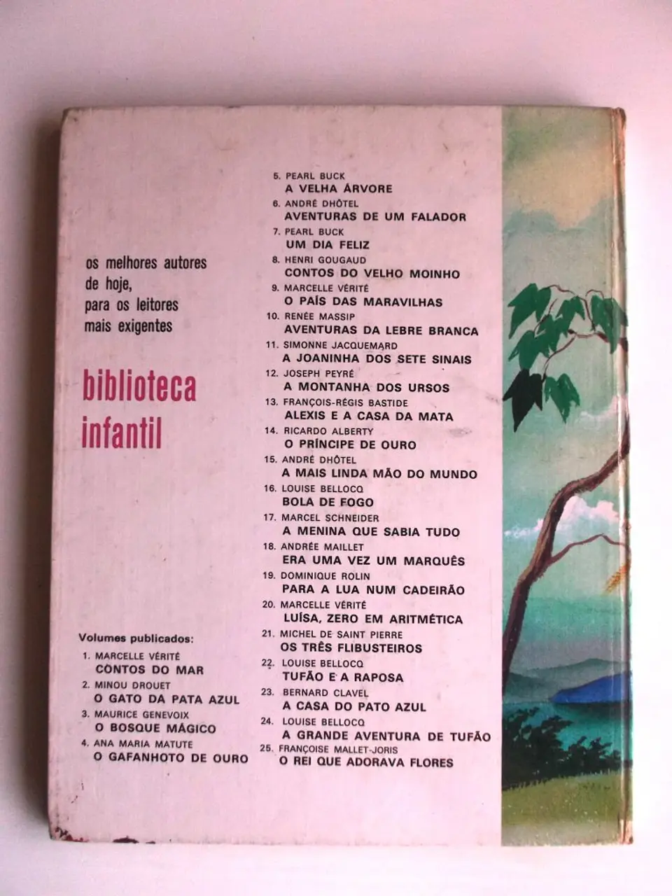 Biblioteca Infantil 07 2