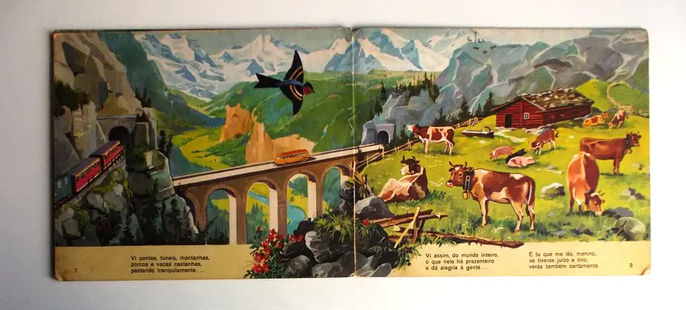 O passarinho viageiro 1610/4 4