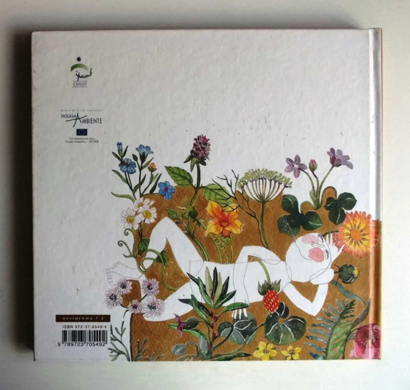 Herbário - Jorge Sousa Braga 2