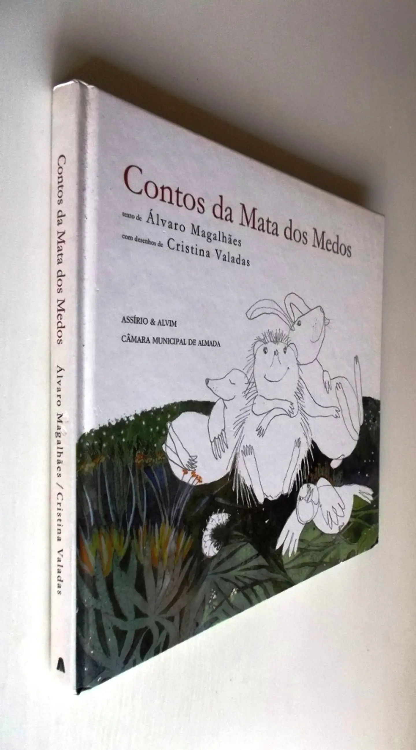 Contos da Mata dos Medos 2