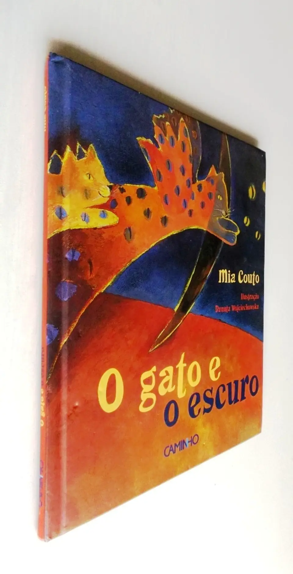 O gato e o escuro - Mia Couto 3