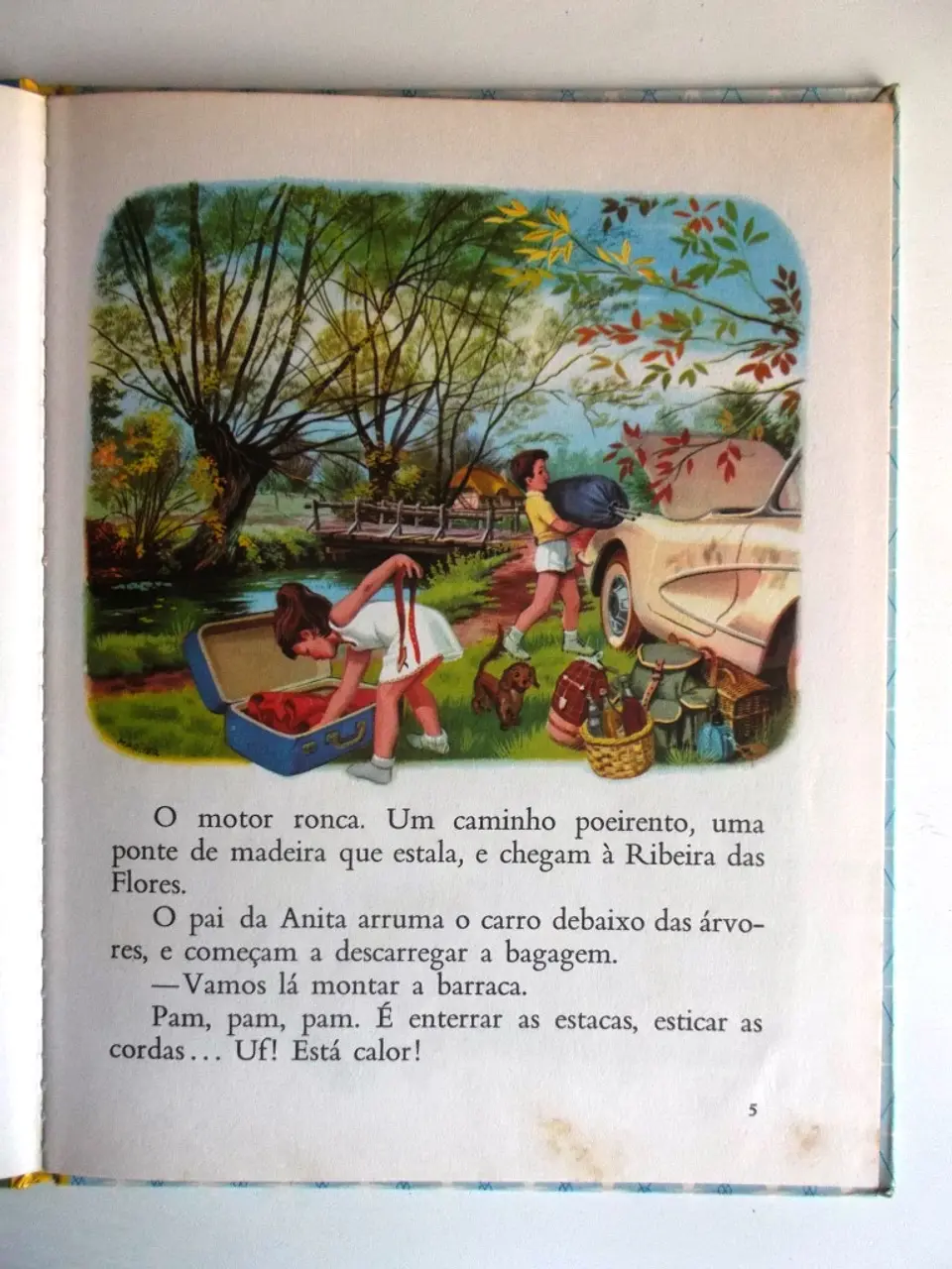 Verbo Infantil 19 - Anita no campo 4