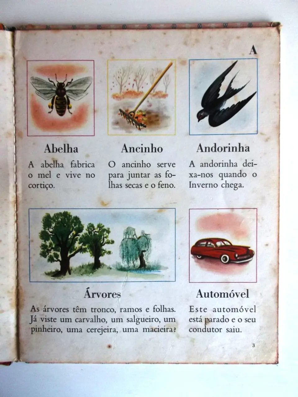 Verbo Infantil 08 - O meu primeiro dicionário 3