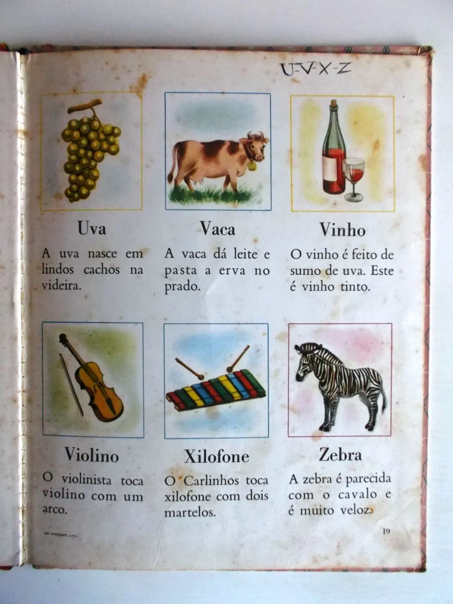 Verbo Infantil 08 - O meu primeiro dicionário 5
