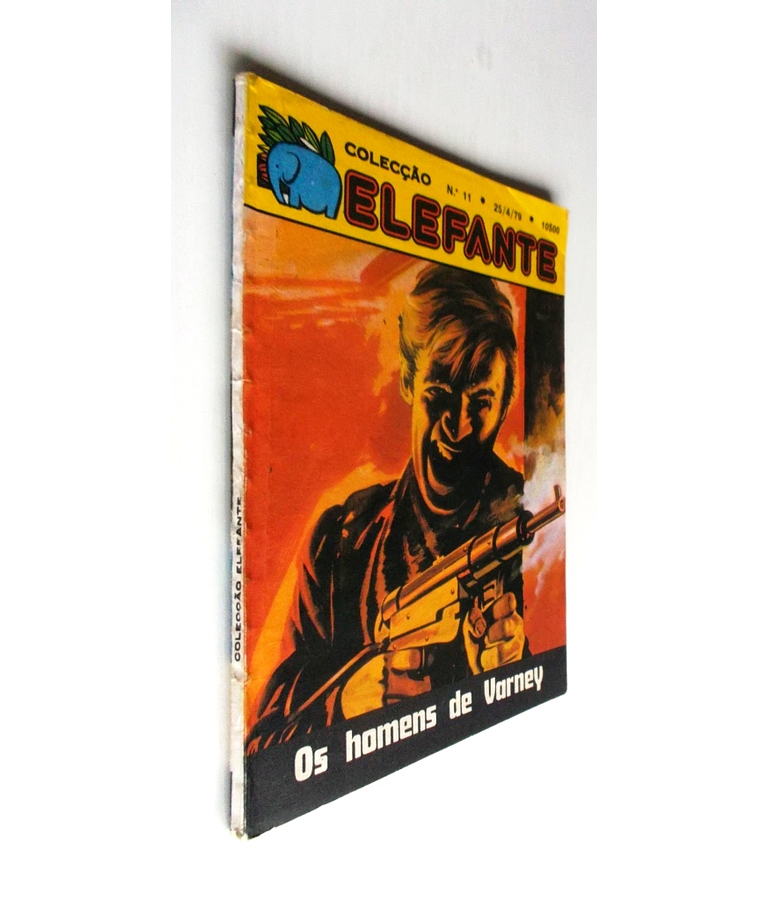 Elefante 11