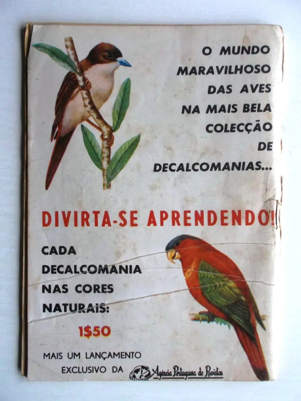 Condor 258 3