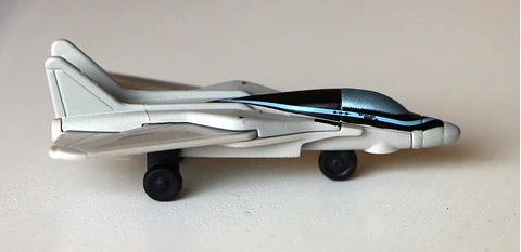 Swing Wing