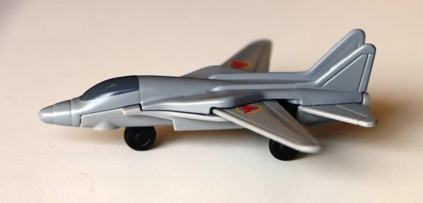 Swing Wing  2