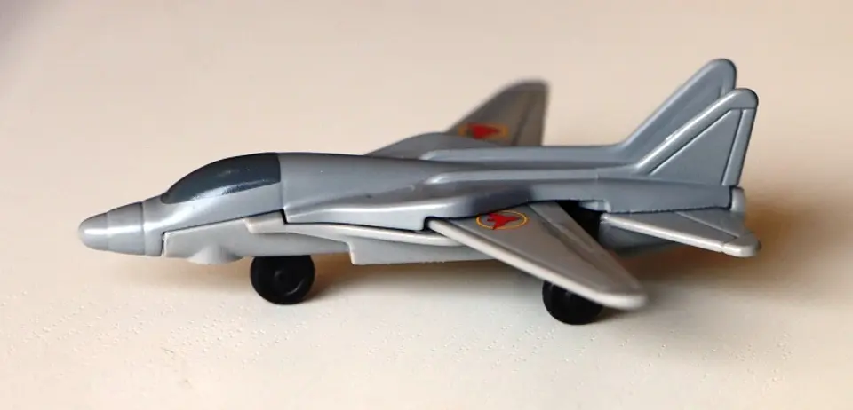 Swing Wing  2