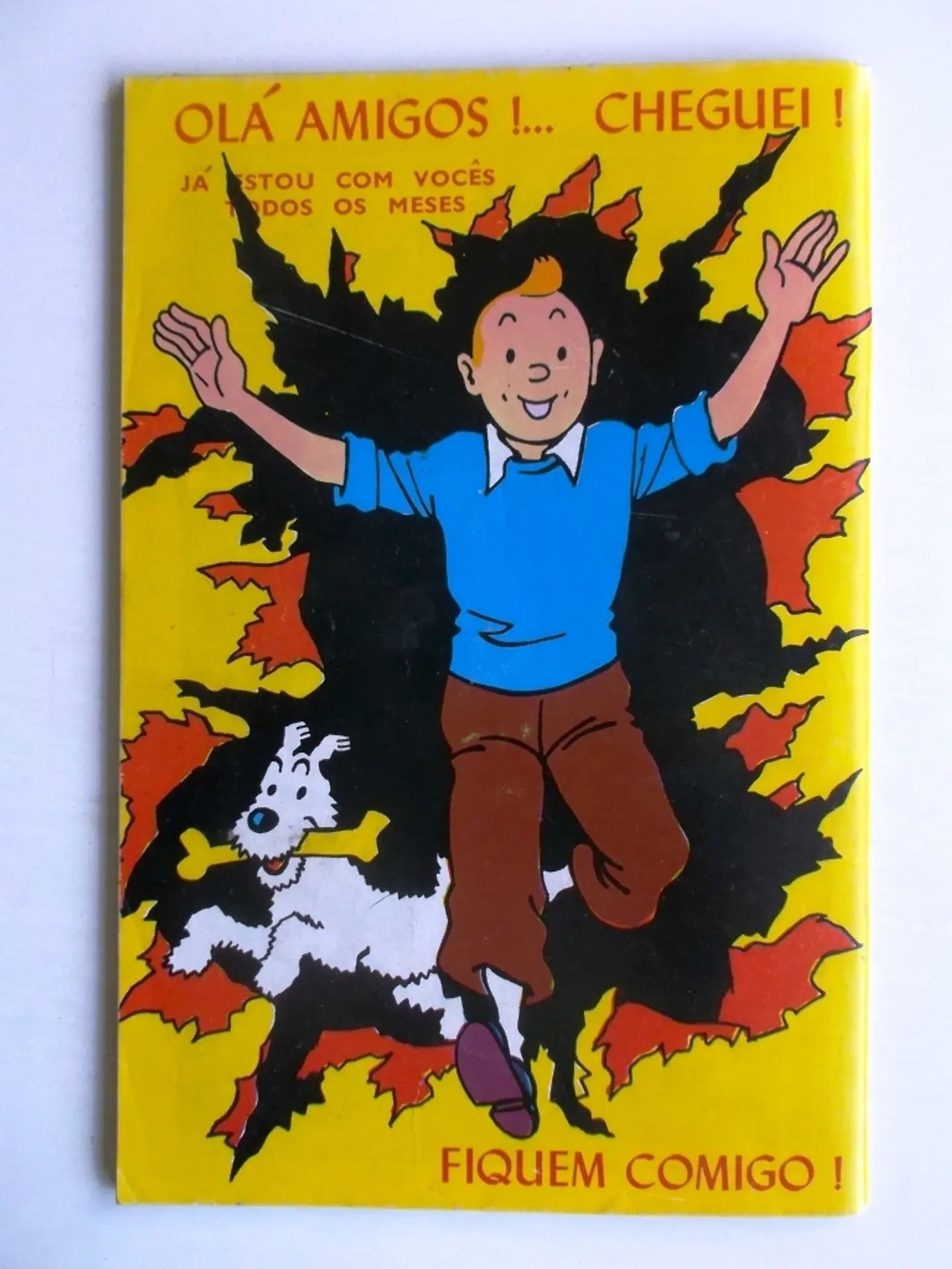 Almanaque Tintin 08 3