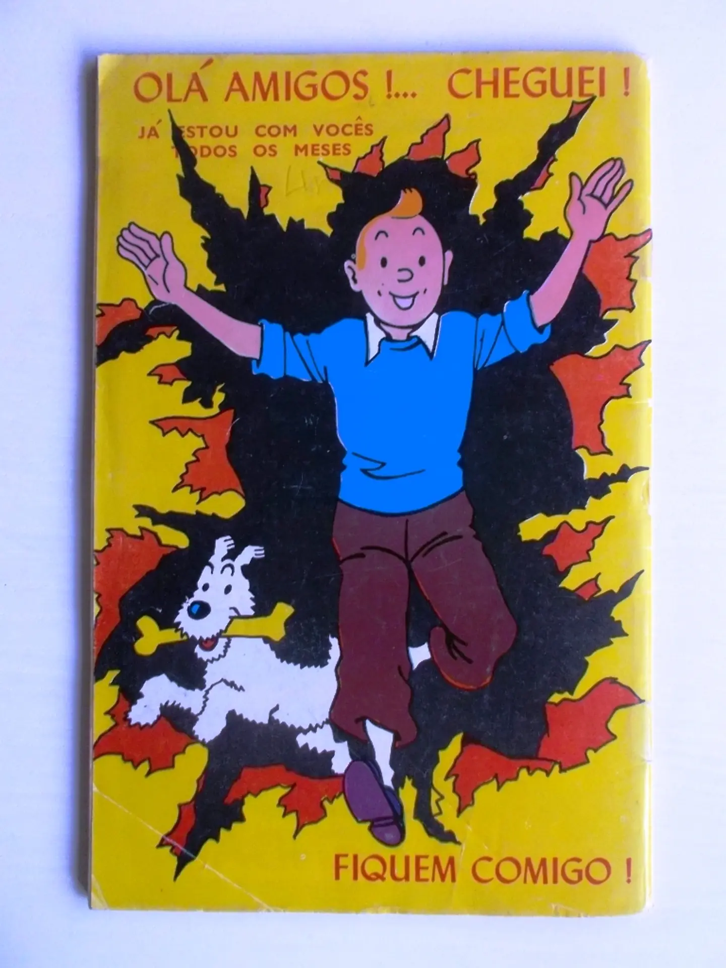 Almanaque Tintin 10 3