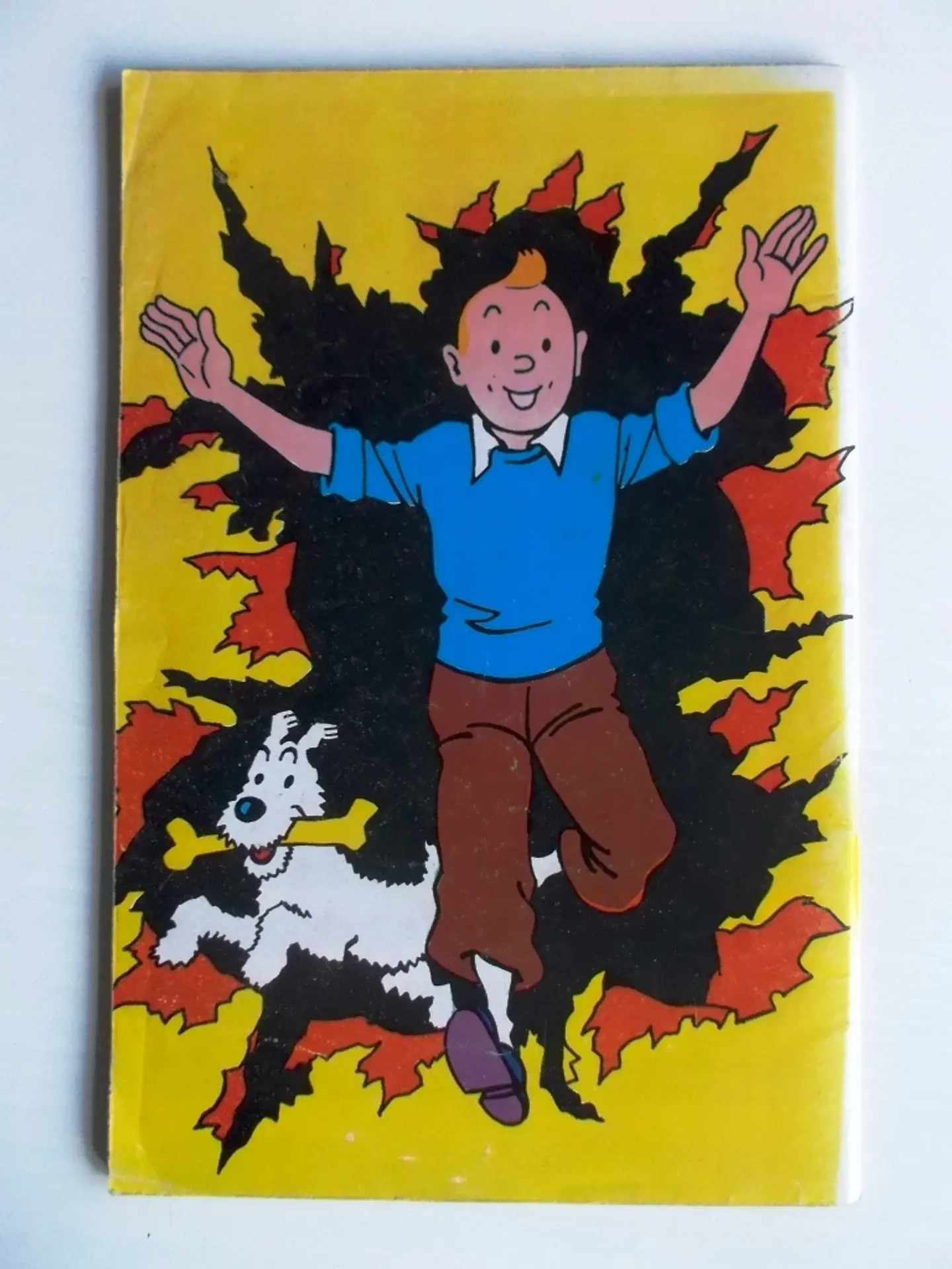 Almanaque Tintin 12 3