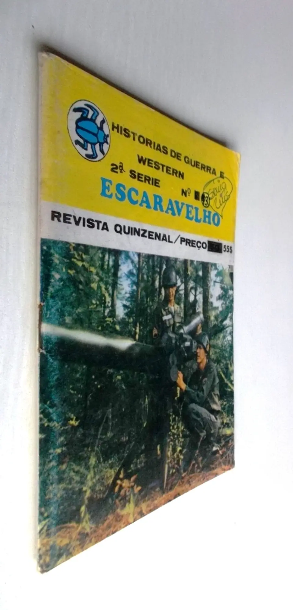 Escaravelho 13 2