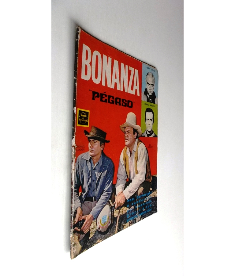 Bonanza 07