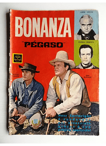 Bonanza 07