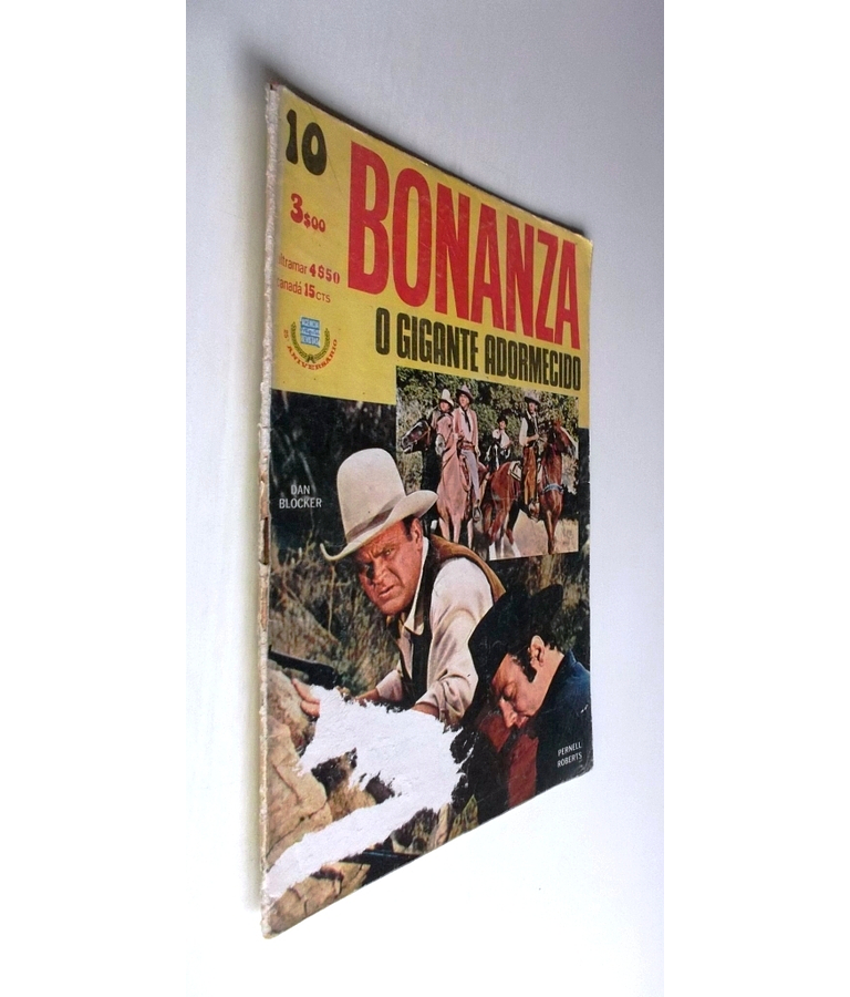 Bonanza 10