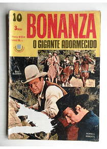 Bonanza 10