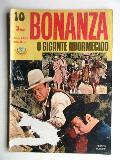 Bonanza 10