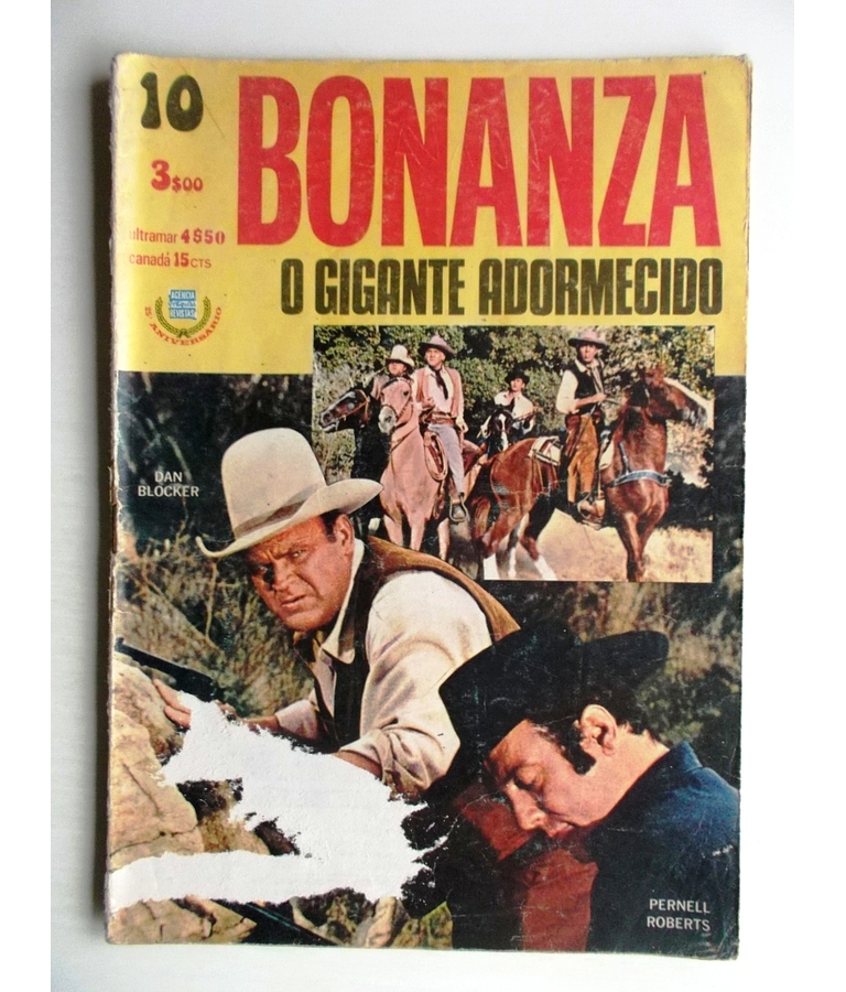 Bonanza 10