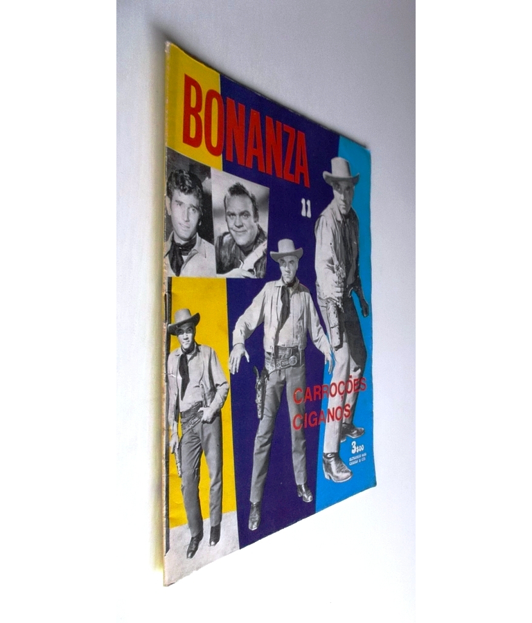 Bonanza 11