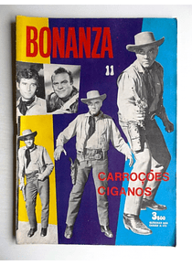 Bonanza 11