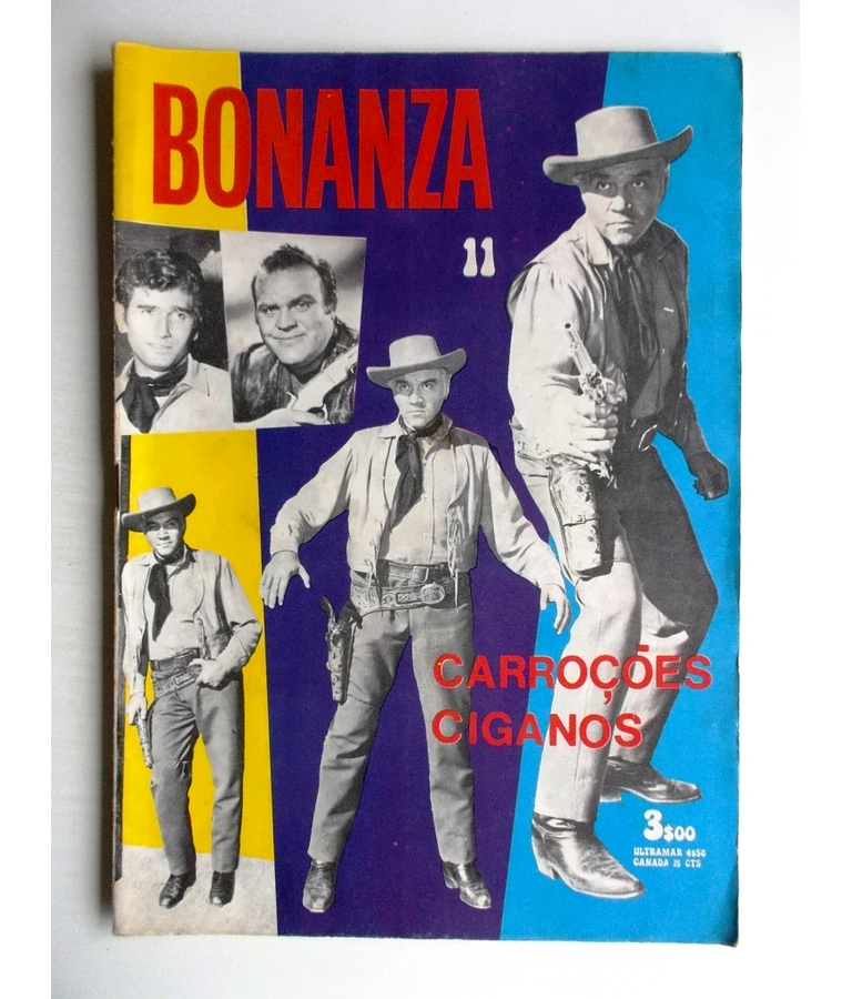 Bonanza 11