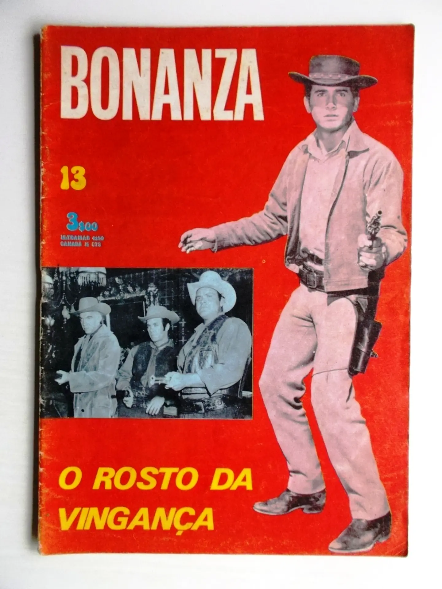 Bonanza 13 1