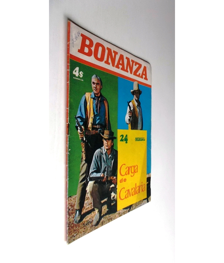 Bonanza 24