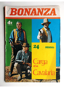 Bonanza 24