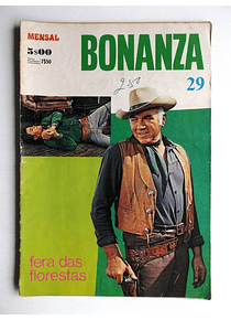 Bonanza 29
