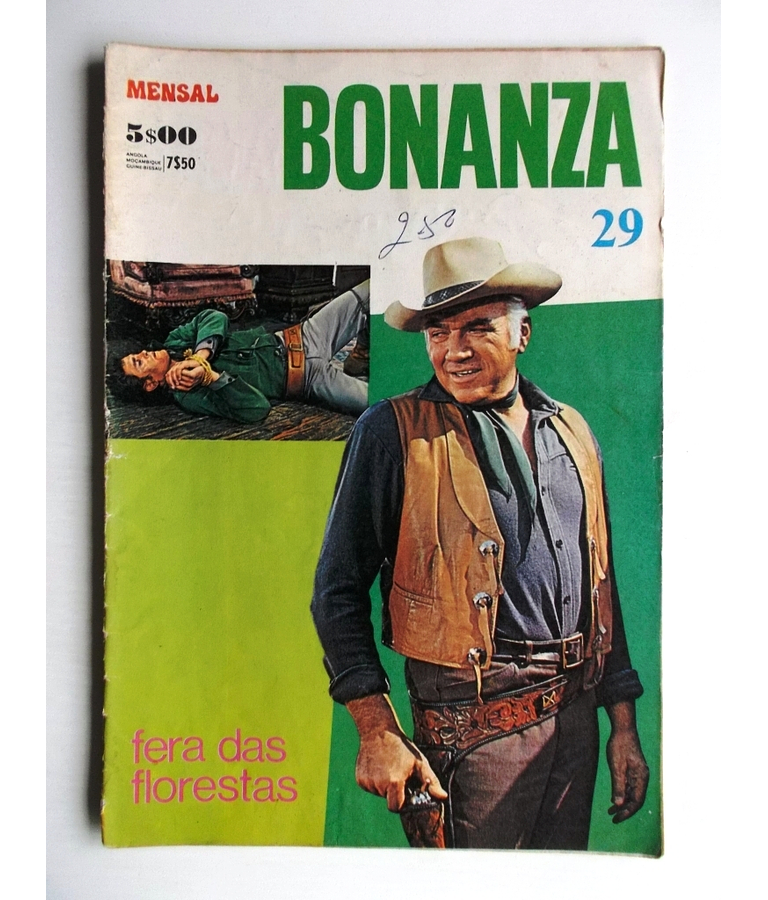 Bonanza 29