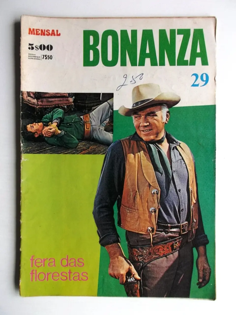 Bonanza 29 1
