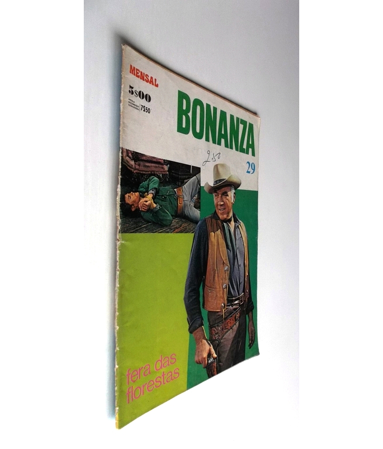 Bonanza 29