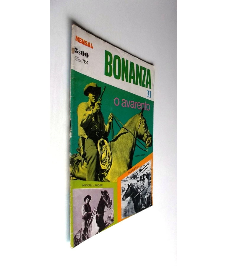 Bonanza 31