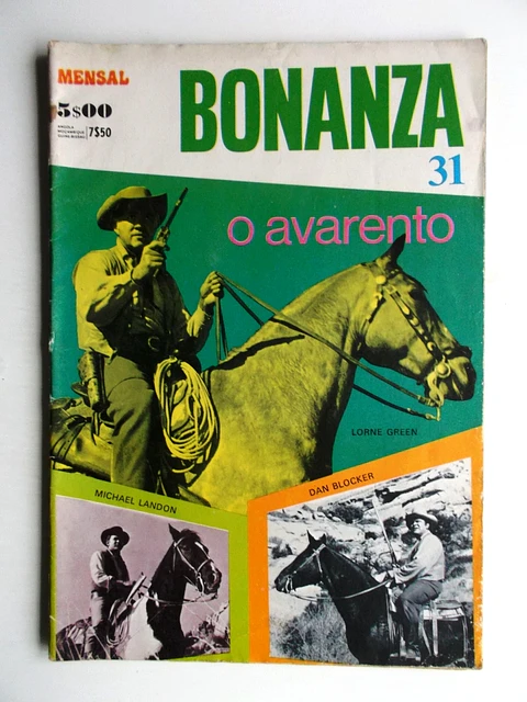 Bonanza 31