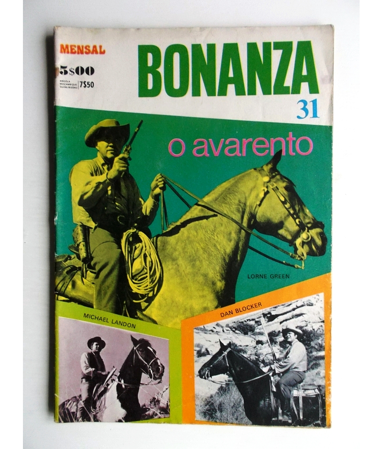 Bonanza 31