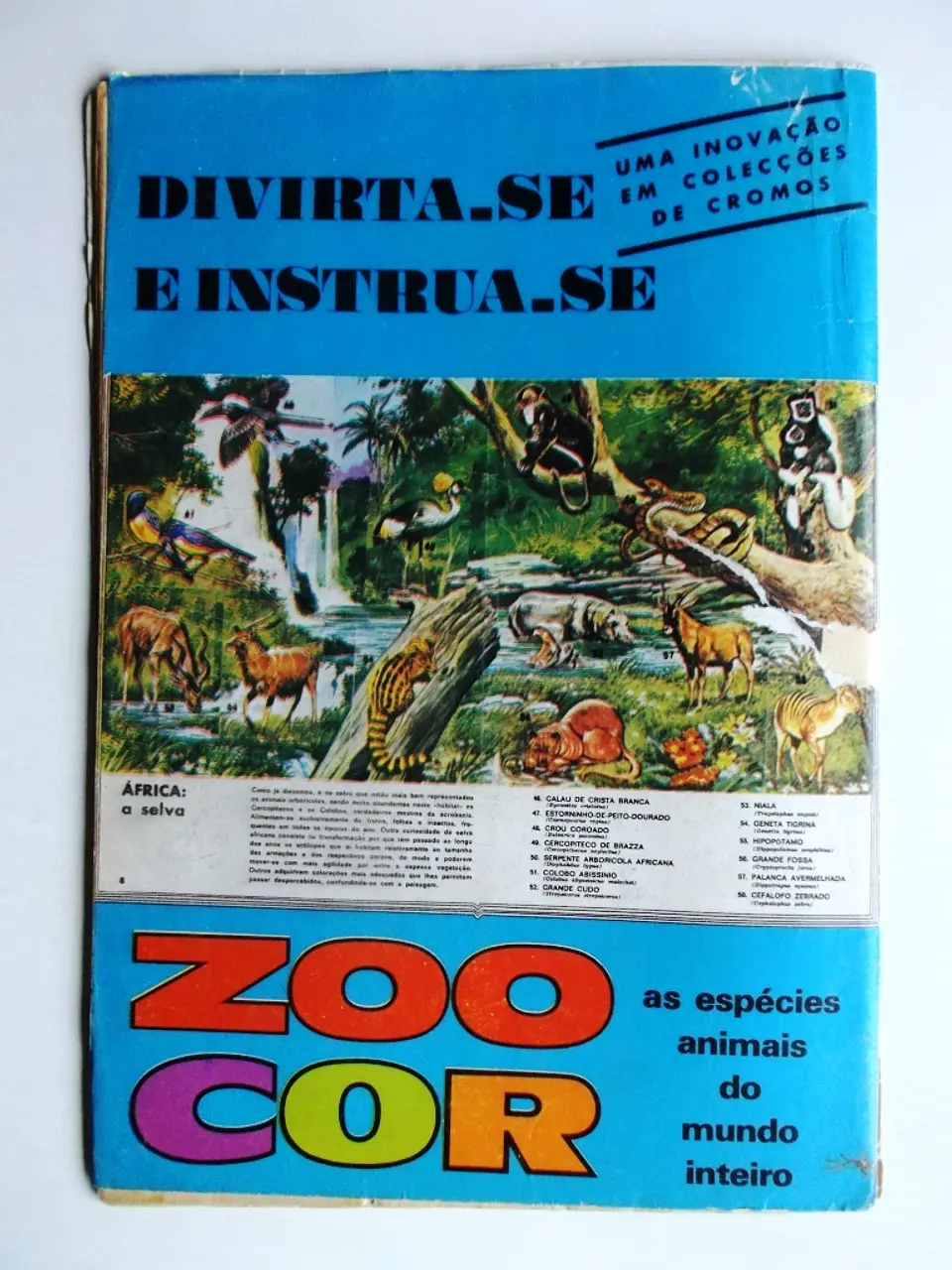 Bonanza 32 3