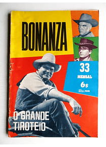Bonanza 33
