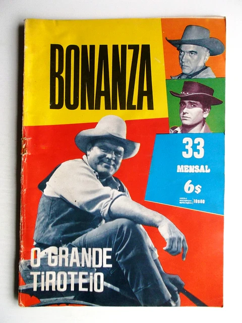 Bonanza 33