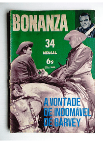 Bonanza 34