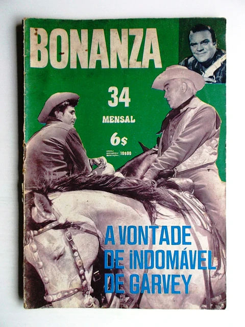 Bonanza 34