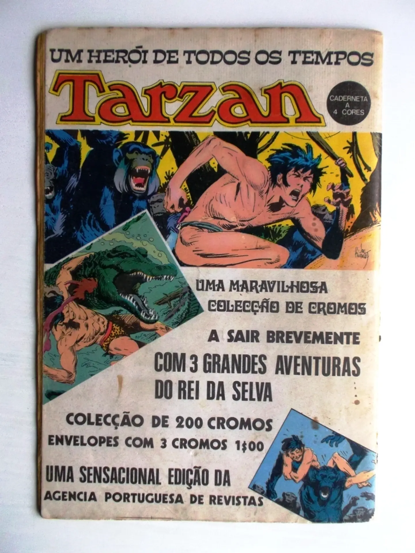 Bonanza 34 3